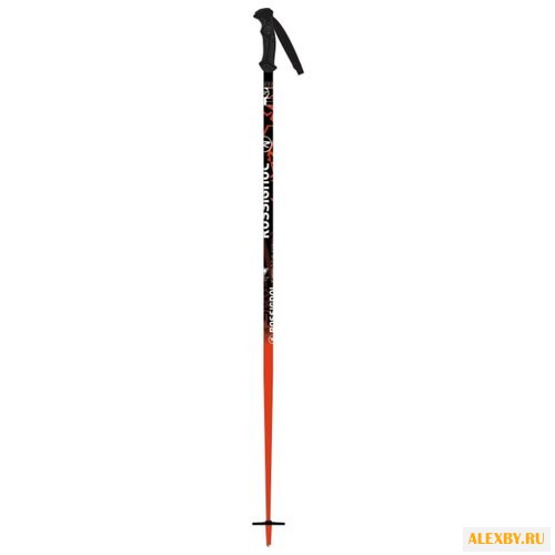 Палки для горных лыж Rossignol