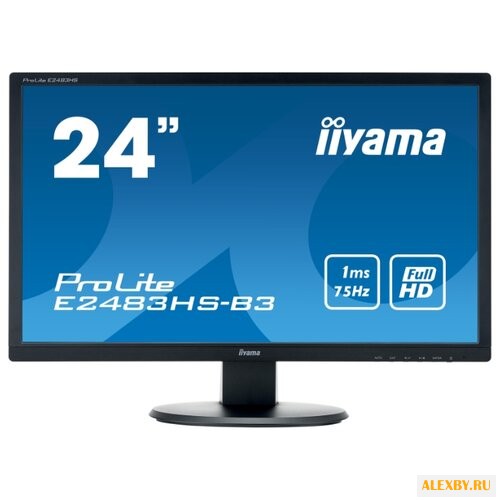Монитор Iiyama ProLite E2483HS-B3