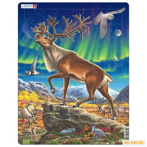 Рамка-вкладыш Larsen Северный