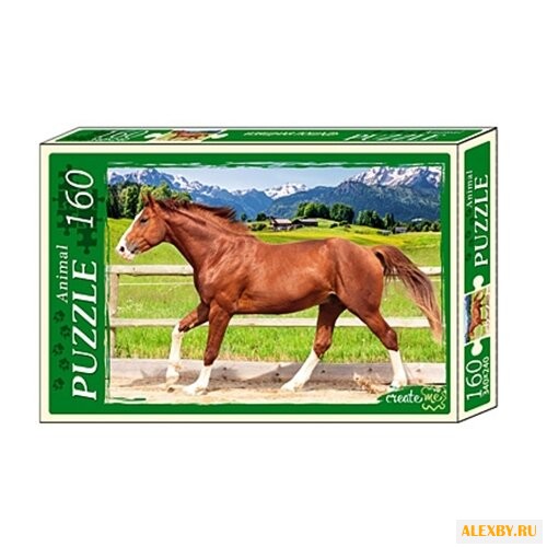 Пазл Рыжий кот Изящная лошадь