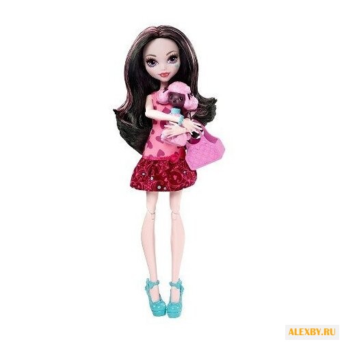 Кукла Monster High Дракулаура с