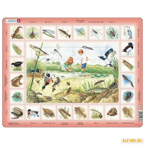 Рамка-вкладыш Larsen Пруд NA3