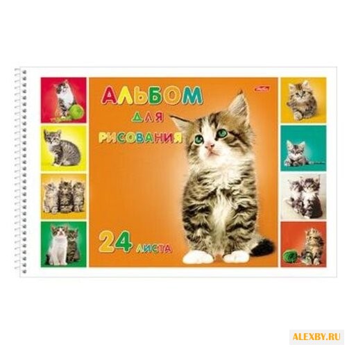 Альбом для рисования Hatber