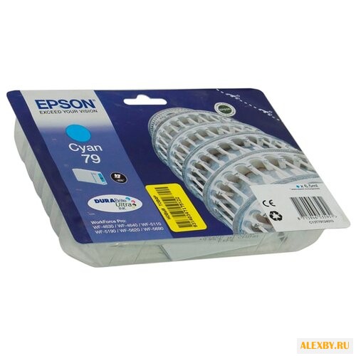 Картридж Epson C13T79124010