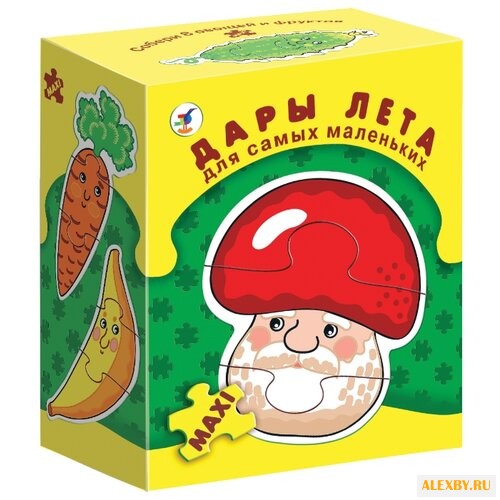 Набор пазлов Дрофа-Медиа ДСМ