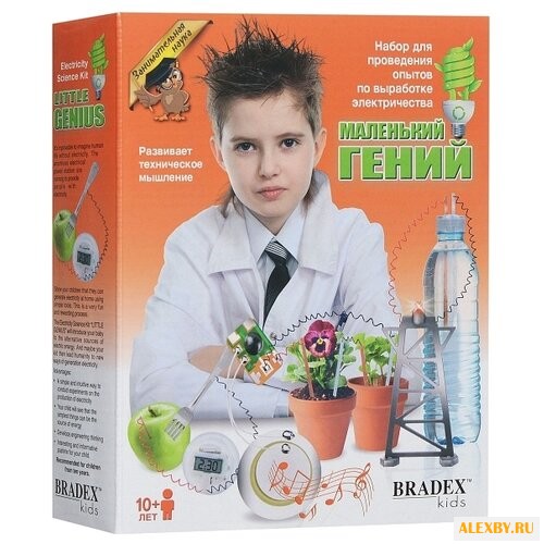 Набор BRADEX Занимательная
