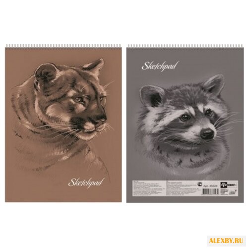 Скетчбук для эскизов Феникс