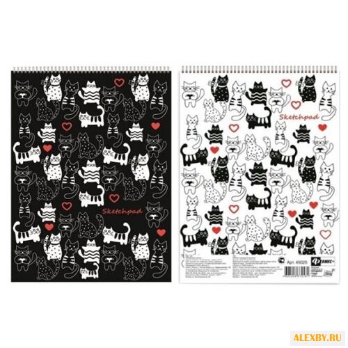 Скетчбук для эскизов Феникс