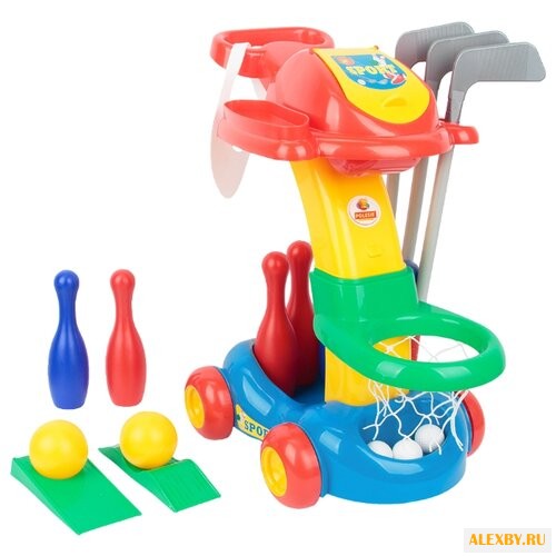 Игровой набор Полесье Sport 54531