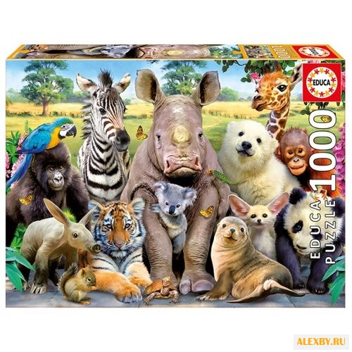 Пазл Educa Классное фото 15517