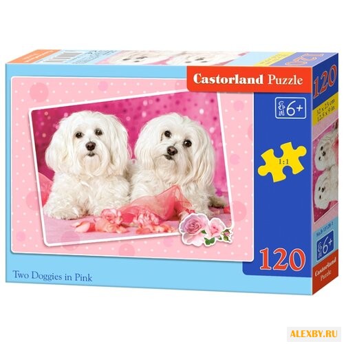 Пазл Castorland Two Doggies in