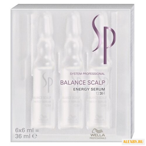 SYSTEM PROFESSIONAL BALANCE