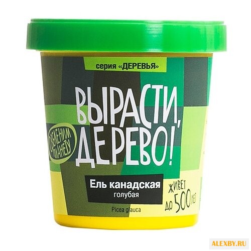 Набор для выращивания Вырасти