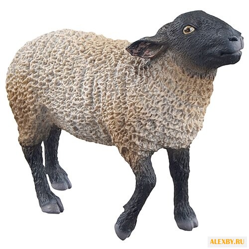 Фигурка Collecta Овца Суффолк