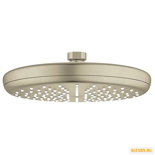 Верхний душ Grohe Tempesta