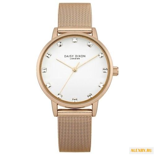 Наручные часы DAISY DIXON