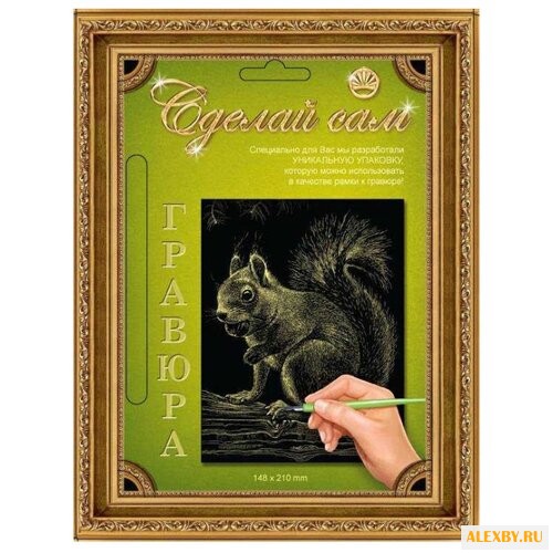 Гравюра Лапландия Белочка 37979