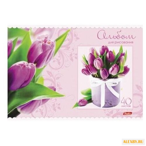 Альбом для рисования Hatber