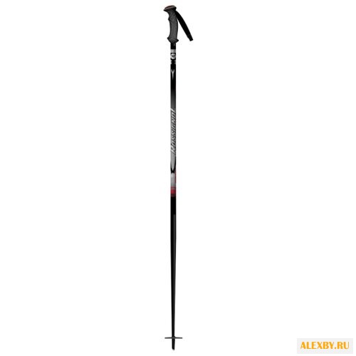 Палки для горных лыж Rossignol