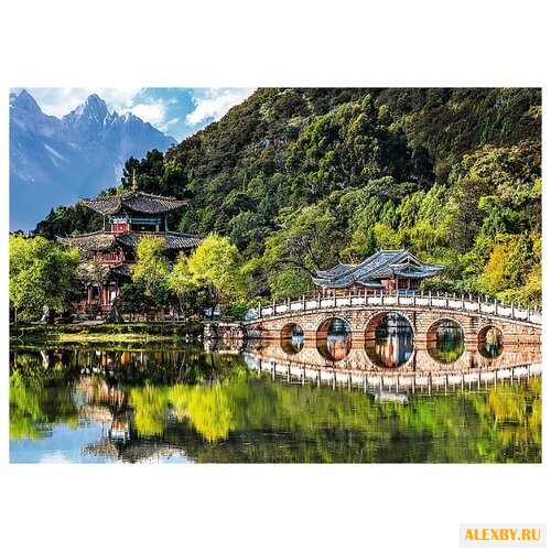 Пазл Trefl Пруд Черного дракона