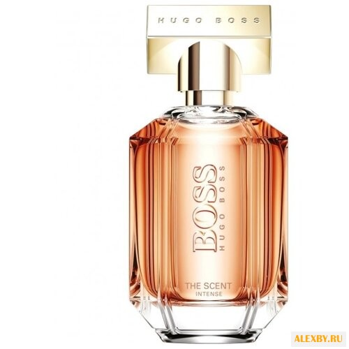 HUGO BOSS The Scent Intense for