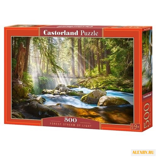 Пазл Castorland Forest Stream