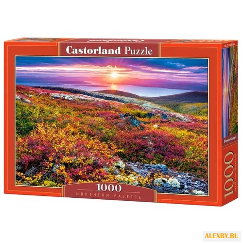Пазл Castorland Northern