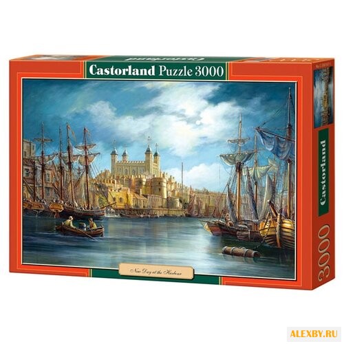 Пазл Castorland New Day at the