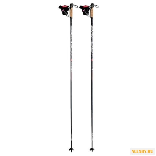Лыжные палки Skigo Vasa