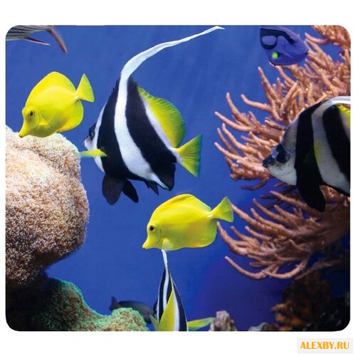 Коврик Fellowes Recycled