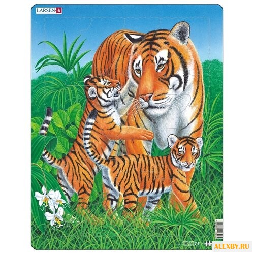 Рамка-вкладыш Larsen Тигр D6