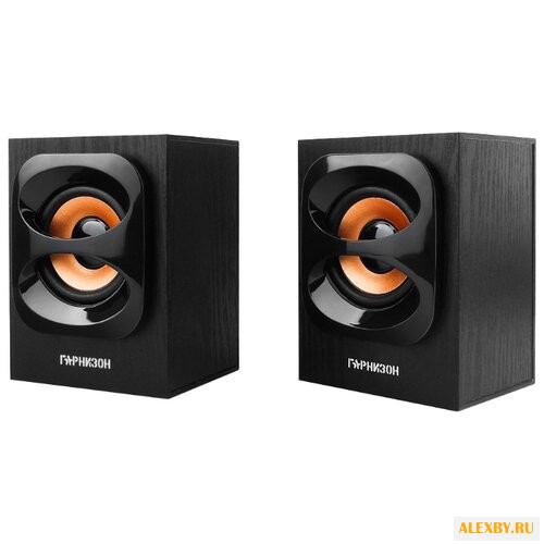 Компьютерная акустика Гарнизон