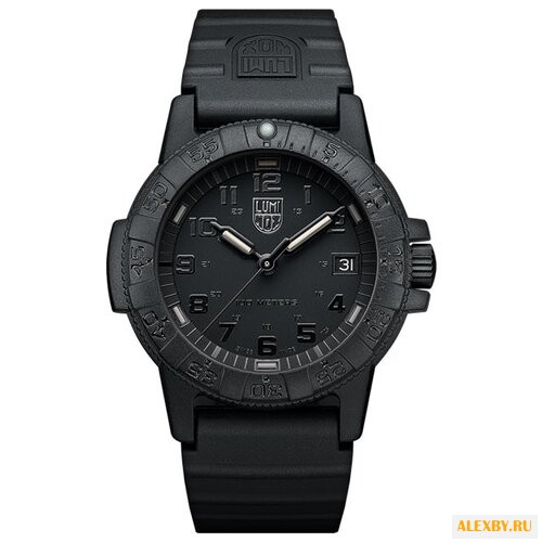 Наручные часы Luminox XS.0301.BO