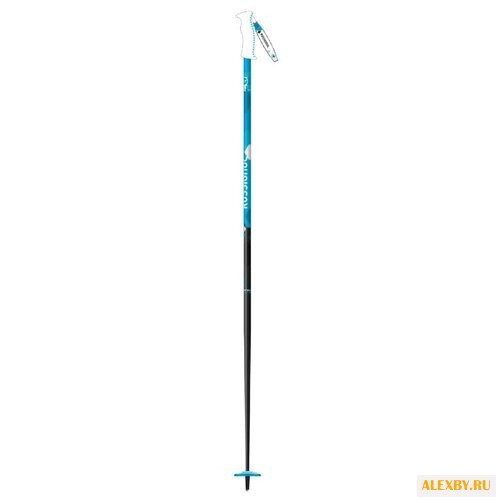 Палки для горных лыж Rossignol
