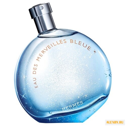 Hermes Eau des Merveilles Bleue