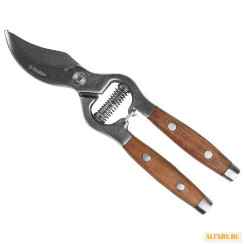 Секатор ЗУБР Эксперт 40100