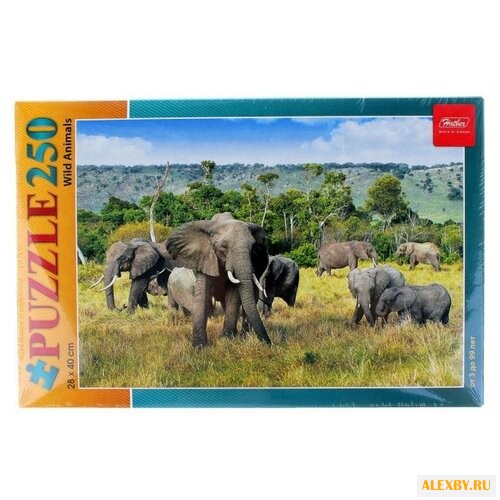 Пазл Hatber Wild animals Слоны