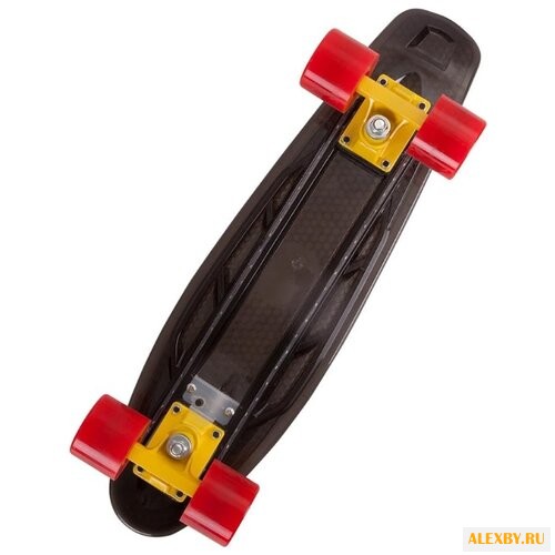 Лонгборд RGX PNB-06