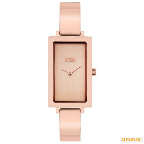 Наручные часы STORM Aisha Rose