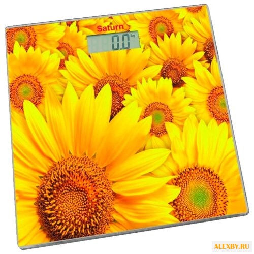 Весы Saturn ST-PS0243