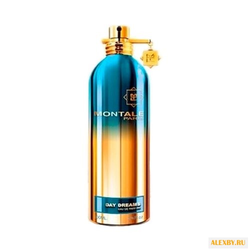 MONTALE Day Dreams