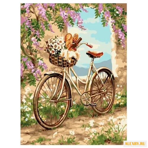 Цветной Картина по номерам