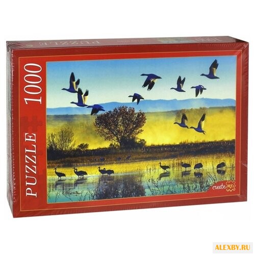 Пазл Рыжий кот Стая птиц