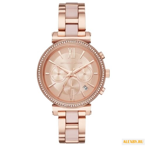 Наручные часы MICHAEL KORS MK6560