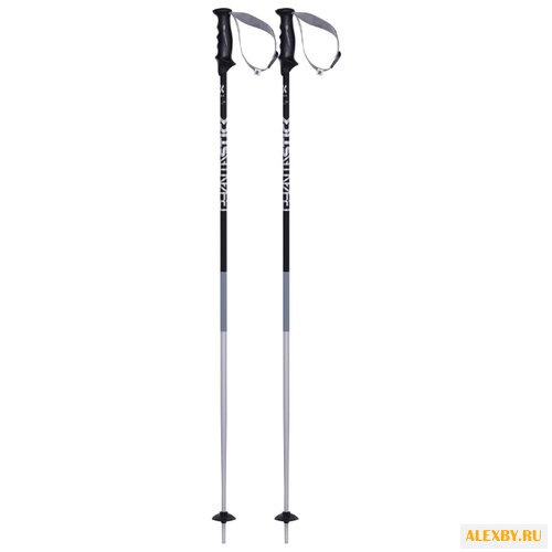 Палки для горных лыж Volkl