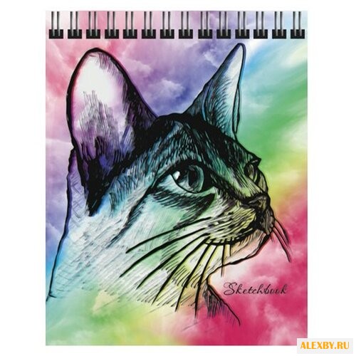 Скетчбук Канц-Эксмо Кот