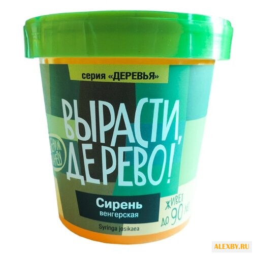 Набор для выращивания Вырасти