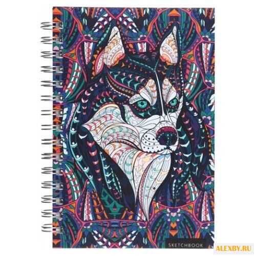 Скетчбук Канц-Эксмо Хаски
