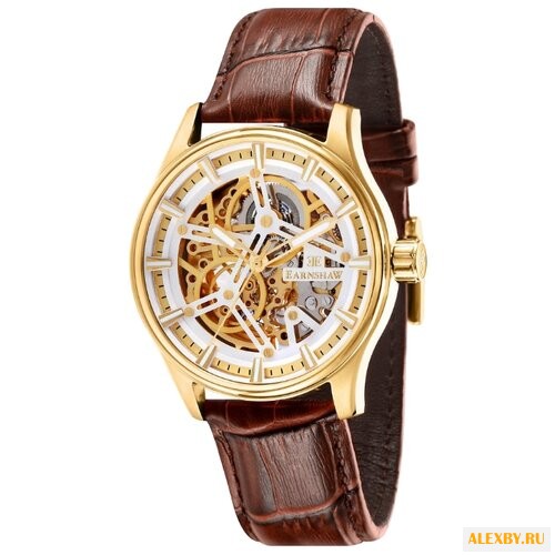 Наручные часы EARNSHAW ES-8076-03