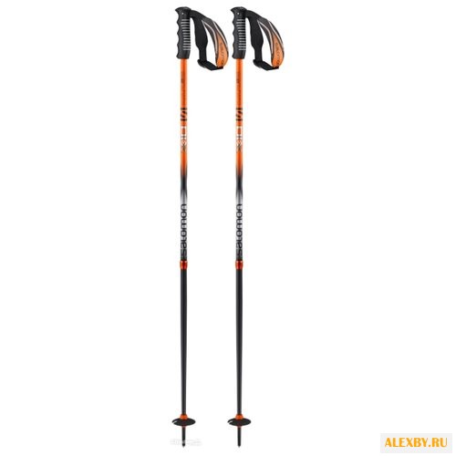 Палки для горных лыж Salomon X 10